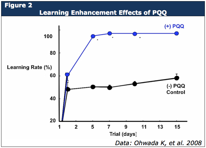 Learning Enhancement Effects of PQQ